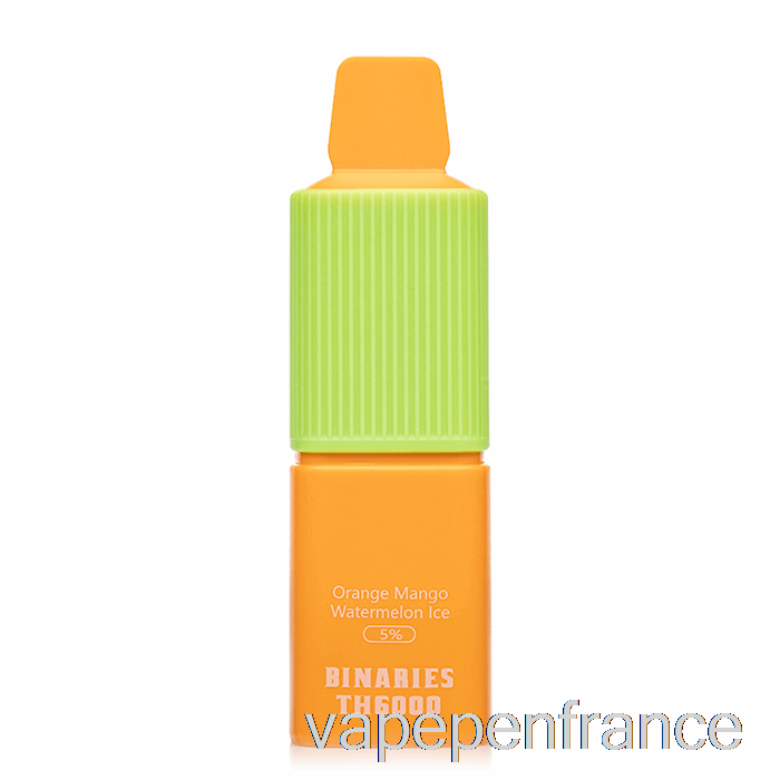 Horizon Binaires Th6000 Stylo Jetable Orange Mangue Pastèque Glace Vape